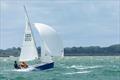 © Tristan Jones / www.nautipics.co.uk