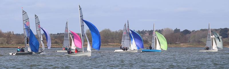 RS200s at the Waldringfield Easter Egg photo copyright Alexis Smith  taken at Waldringfield Sailing Club and featuring the RS200 class
