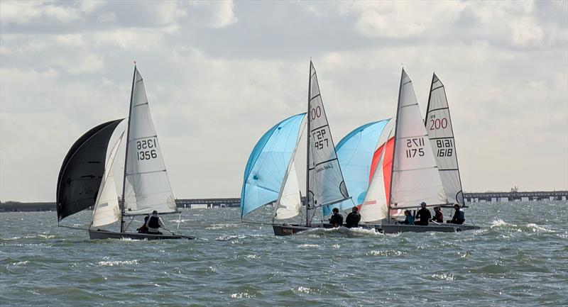 2026 Netley SC RS200 Club Championship photo copyright Terry Hunt taken at Netley Sailing Club and featuring the RS200 class