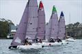 RS21 fleet starting - SAILING Champions League - Asia Pacific northern qualifier © Beau Outteridge