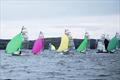 RS400 Northern Championships at Strangford, Northern Ireland © SSC