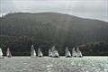 RS400 fleet at the Trident-UK Great North Asymmetric Challenge &copy; Arthur Dembinski