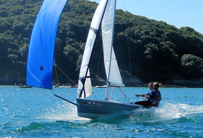 Henri Lloyd Salcombe Yacht Club Regatta 2016 photo copyright Malcolm Mackley taken at Salcombe Yacht Club and featuring the RS400 class
