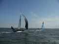 RS700 SnetFest 3 Rooster National Tour
