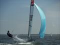 RS700 SnetFest 3 Rooster National Tour