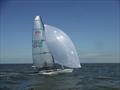 RS700 SnetFest 3 Rooster National Tour