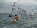 RS700 SnetFest 3 Rooster National Tour
