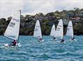 RS Aero New South Wales State Championships at Balmoral SC © Balmoral Sailing Club