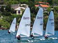 RS Aero New South Wales State Championships at Balmoral SC © Balmoral Sailing Club