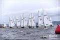 RS Aeros at the Turkey Bowl Regatta  © Jan Anderson