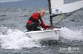 RS Aeros at the Turkey Bowl Regatta  © Jan Anderson