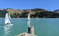 © Nick Rayner Nick Rayner sailing on Pigeon Bay, Christchurch © Nick Rayner