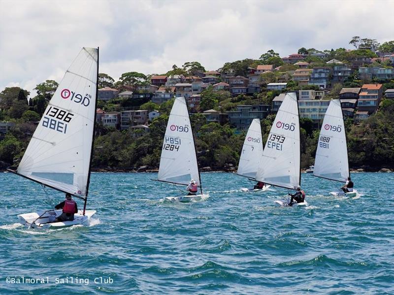 RS Aero New South Wales State Championships at Balmoral SC photo copyright Balmoral Sailing Club taken at Balmoral Sailing Club and featuring the  class