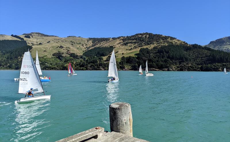 Nick Rayner sailing on Pigeon Bay, Christchurch photo copyright Nick Rayner taken at Christchurch Sailing Club and featuring the  class