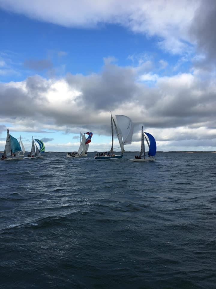 Strangford Lough's Frostie Week day 4 photo copyright Jack Kennedy taken at Strangford Lough Yacht Club and featuring the RS Elite class