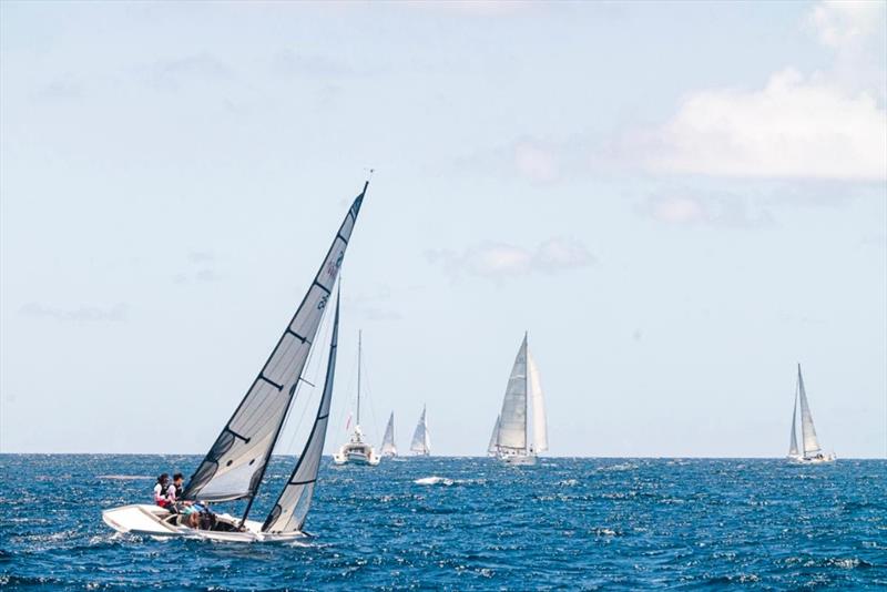 Outdoor World Yamaha (Ocean Warrior) - RS Elite Class at Axxess Marine Y2K Race Day at Antigua Sailing Week 2023 photo copyright Travis Harris taken at Antigua Yacht Club and featuring the RS Elite class