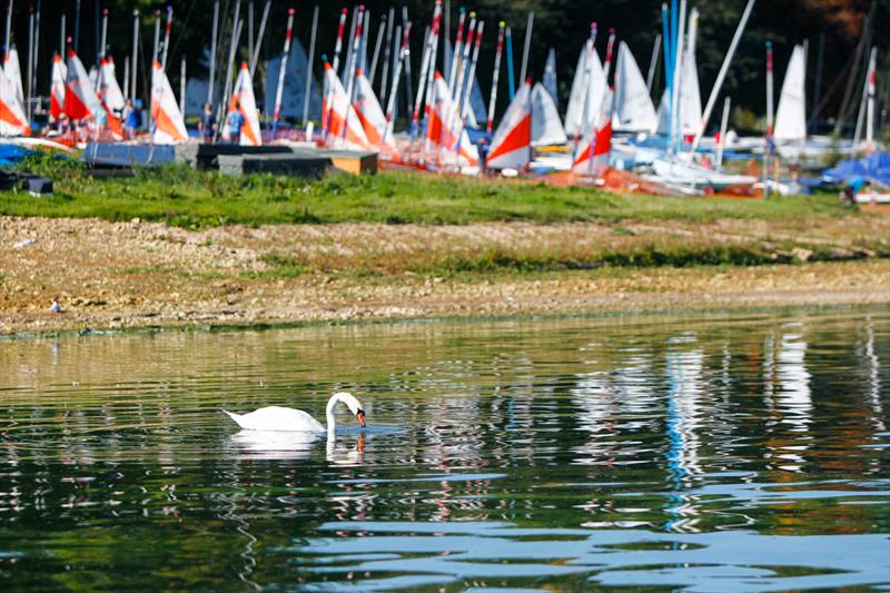 2015 RYA Zone and Home Country Championships photo copyright Paul Wyeth / www.pwpictures.com taken at Royal Yachting Association and featuring the RS Feva class