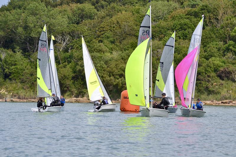 Gurnard Sailing Club Junior Championship photo copyright Jenny Preston taken at Gurnard Sailing Club and featuring the RS Feva class