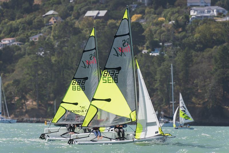 RS Fevas racing in the SailGP Inspire program - Lyttelton - March 22, 2024 photo copyright Justin Mitchell taken at Naval Point Club Lyttelton and featuring the RS Feva class
