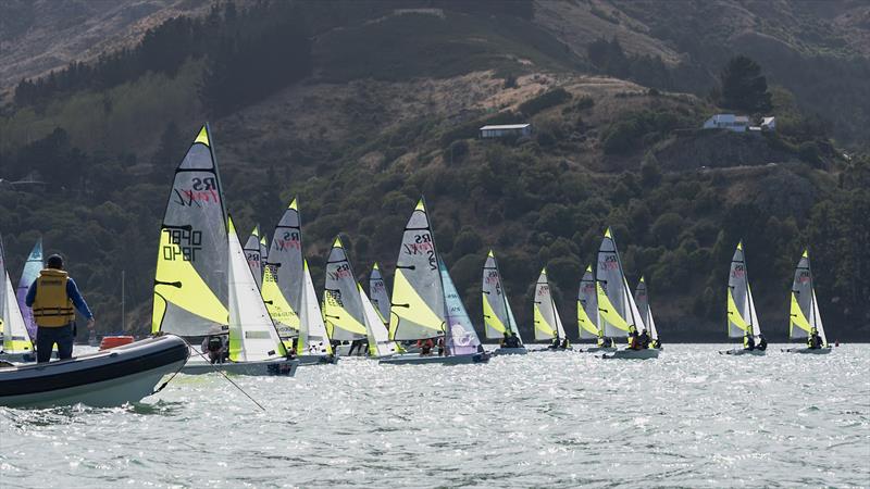 RS Fevas racing in the SailGP Inspire program - Lyttelton - March 23, 2024 photo copyright Justin Mitchell taken at Naval Point Club Lyttelton and featuring the RS Feva class