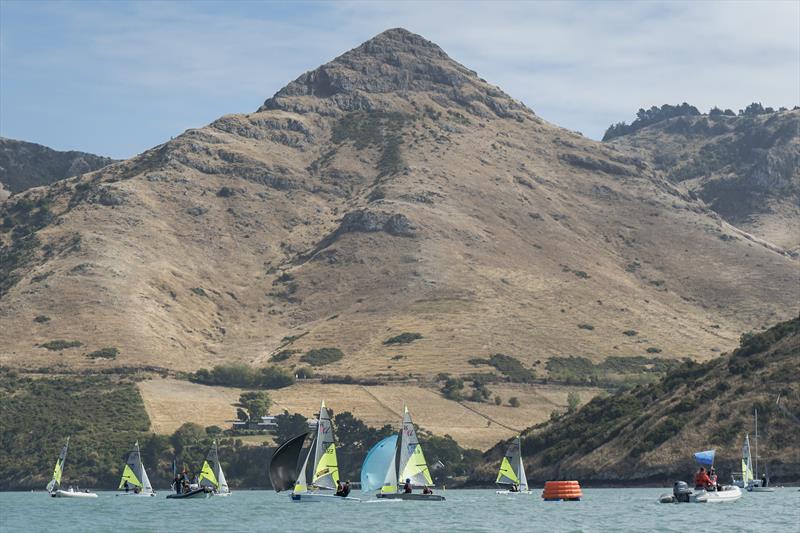 RS Fevas racing in the SailGP Inspire program - Lyttelton - March 23, 2024 photo copyright Justin Mitchell taken at Naval Point Club Lyttelton and featuring the RS Feva class