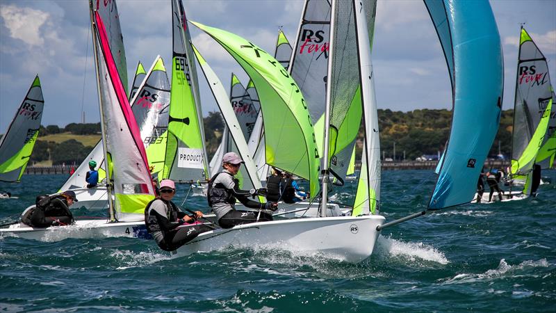 Practice racing - SailGP Inspire- RS Feva - Royal Akarana YC - Jan 16, 2025 - photo © Richard Gladwell/Sail-World.com/nz