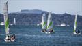 RS Quest - Cheltenham Beach- first adventure cruise in NZ - May 4, 2025 © Richard Gladwell/Sail-World.com/nz