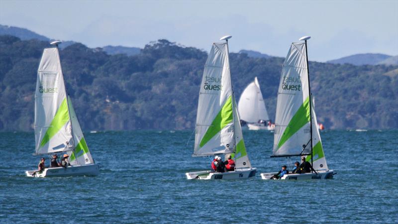 RS Quest - Cheltenham Beach- first adventure cruise in NZ - May 4, 2025 - photo © Richard Gladwell/Sail-World.com/nz