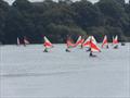 RS Tera Midland Championship at Olton Mere © David Oakley