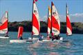 IW Youth and Junior Dinghy Championships Series finale at Brading Haven