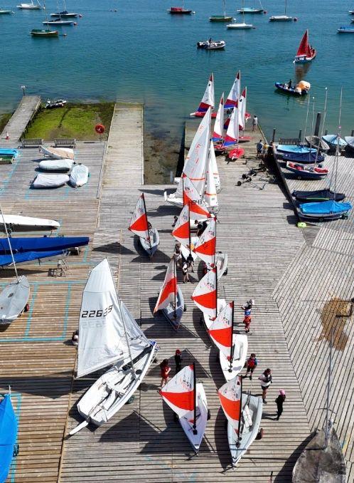 RS Teras join Itchenor's Junior Fleets photo copyright Seb Jemmett taken at Itchenor Sailing Club and featuring the RS Tera class