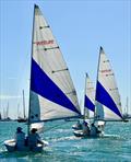 Perfect weather for racing - just off the National Sailing Academy