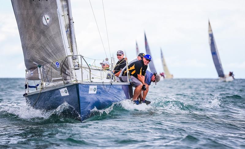 Intrusion will arrive fresh from victory at the S80 Victorian Championship photo copyright Craig Greenhill taken at Royal Geelong Yacht Club and featuring the S80 class