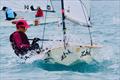 62nd Australian Sabot Championships &copy; Tony Ritter
