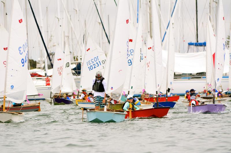 49th annual Dutch Shoe Marathon at San Diego Yacht Club - photo © SDYC