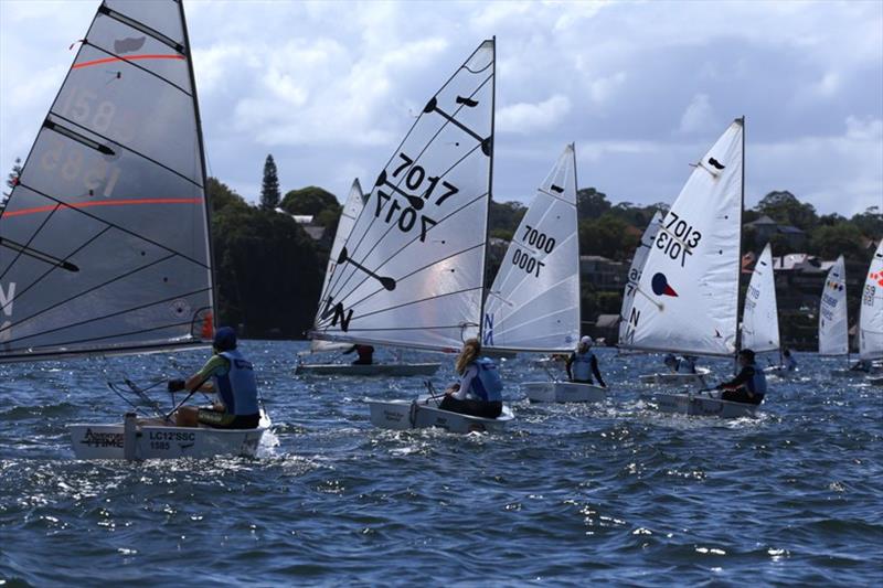 Sabot Fleet racing photo copyright Sam Gong taken at Lane Cove 12ft Sailing Skiff Club and featuring the Sabot class