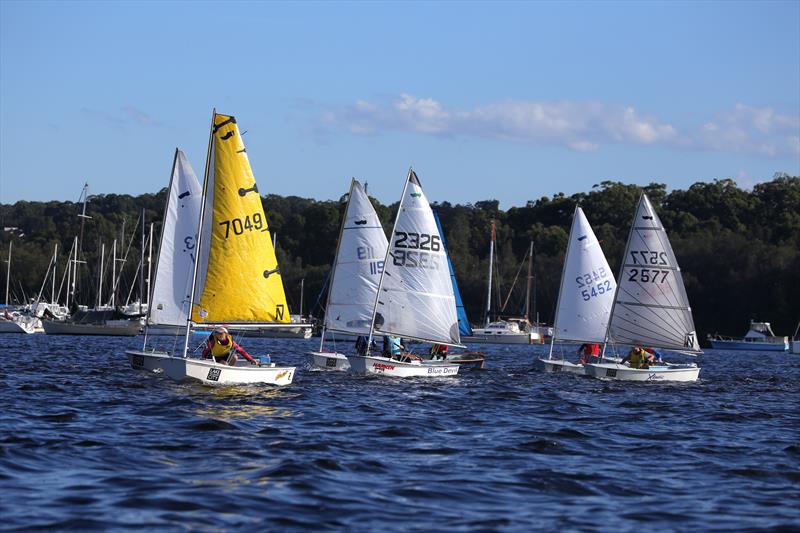 Sabot Week action in flatter water – confidence and skills improvements from all kids photo copyright Sam Gong taken at Teralba Amateur Sailing Club and featuring the Sabot class