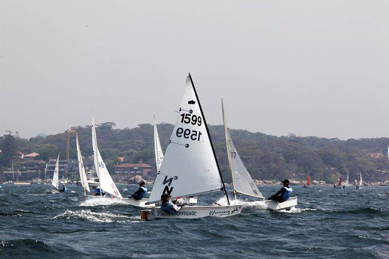 Max Nearn in his Sabot photo copyright Frank Quealey taken at Vaucluse Amateur 12ft Sailing Club and featuring the Sabot class