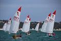 Victorian Sabres at Sail Mordi Regatta © Russell Bates Photography