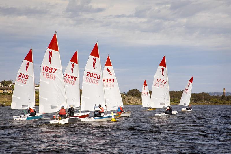 Sabre WA State Championships Heats 1 & 2 photo copyright David Ponton taken at Maylands Yacht Club and featuring the Sabre class