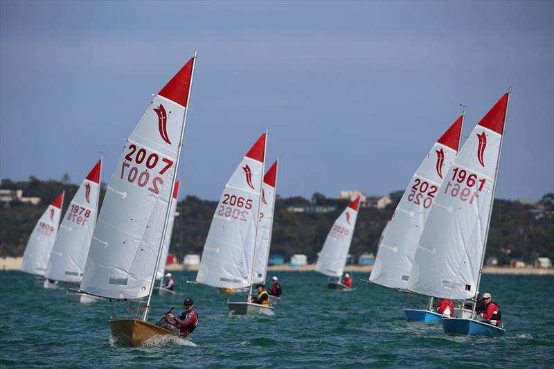 Victorian Sabres at Sail Mordi Regatta photo copyright Russell Bates Photography taken at Mordialloc Sailing Club and featuring the Sabre class