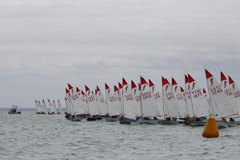 Victorian Sabres at Sail Mordi Regatta photo copyright Russell Bates Photography taken at Mordialloc Sailing Club and featuring the Sabre class