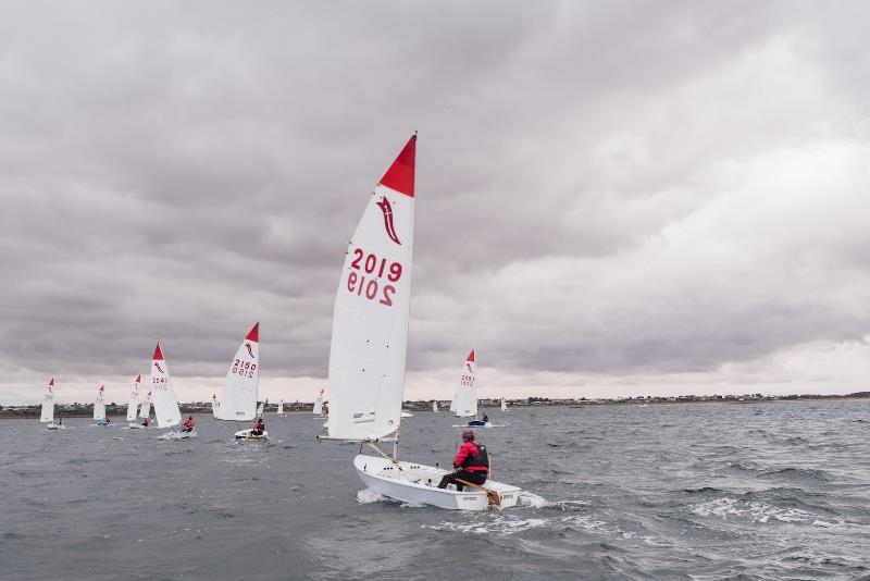 J Gratton in Hoodoo racing in the 2020 Australian Sabre National Championships photo copyright Bodhi Stone taken at Wallaroo Sailing Club and featuring the Sabre class