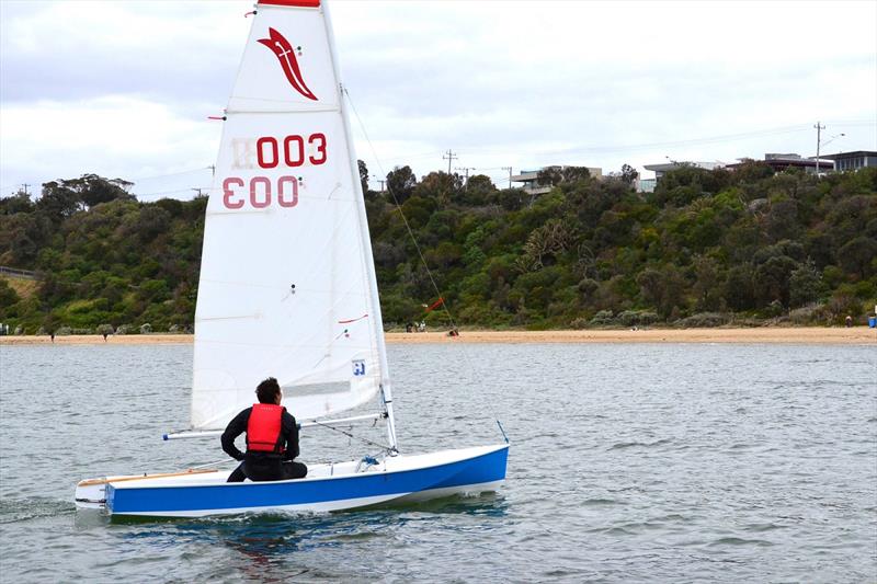 Luis sailing out in front of Black Rock Yacht Club photo copyright Jarka Kluth taken at  and featuring the Sabre class