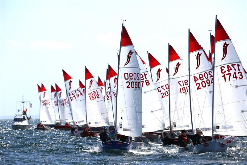 Starting line - 2021 46th Victorian Sabre State Championships photo copyright Russell Bates taken at McCrae Yacht Club and featuring the Sabre class