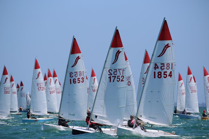 After the start during the 2022 Victorian Sabre State Titles photo copyright Russell Bates taken at Blairgowrie Yacht Squadron and featuring the Sabre class