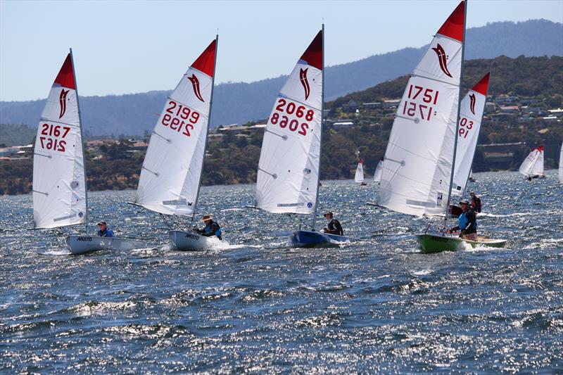 44th Sabre Nationals in Hobart - photo © Peter Watson