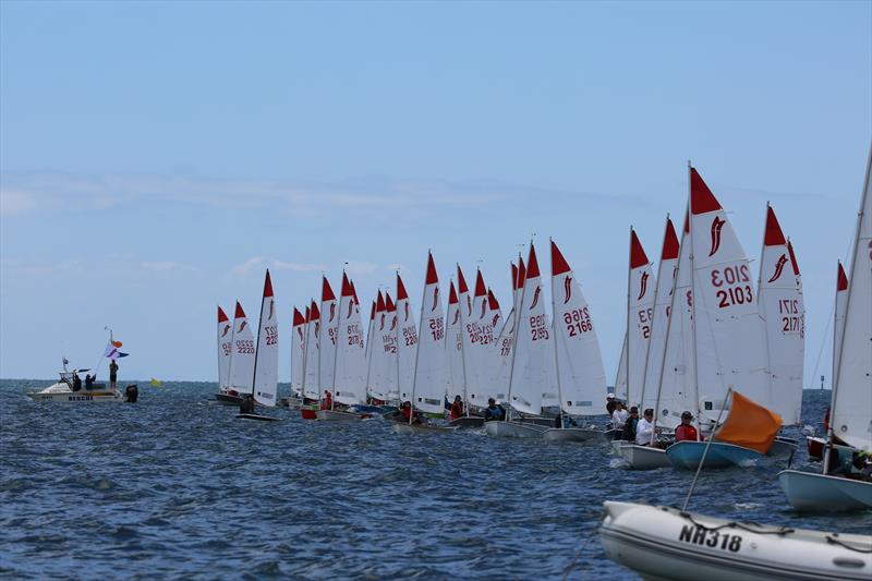 Race start during the 2023/24 Sabre Australian Nationals at McCrae Yacht Club photo copyright Russell Bates taken at McCrae Yacht Club and featuring the Sabre class