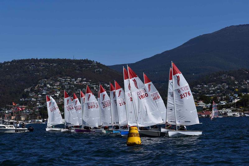 The 2026 Tasmanian Sabre Championship is underway as part of the Banjo's Shoreline Crown Series Bellerive Regatta - photo © Jane Austin
