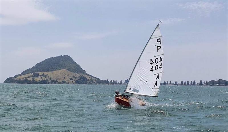 Tim Howse (KYC)  -  P class - Tanner Cup - Tauranga Yacht and Power Boat Club - January 2019 - photo © Tauranga Yacht and Power Boat Club